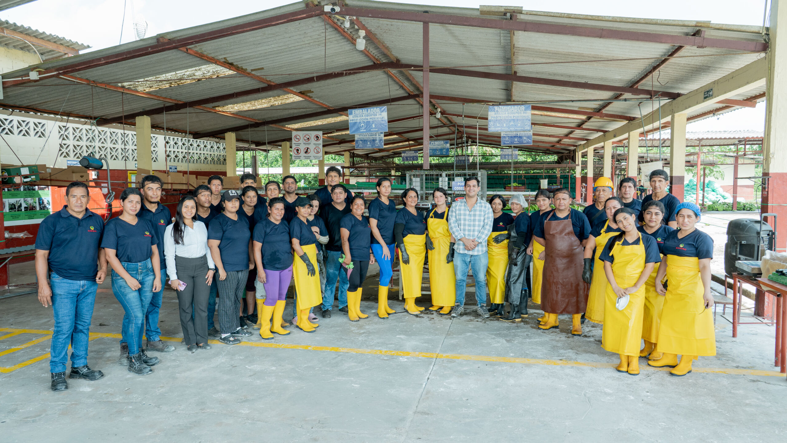 Equipo de OBSA reunido en area de procesos bananeros